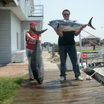06-28-11-bluefin.jpg