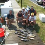06-08-11-sea-bass-and-cod.jpg