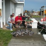 05-22-11-sea-bass-and-cod.jpg