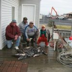 11-20-11-tog-and-sea-bass.jpg
