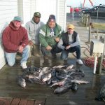 11-19-11-tog-and-sea-bass.jpg