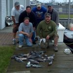 10-15-11-sea-bass-and-tog.jpg