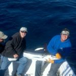 10-08-11-white-marlin.jpg