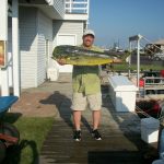 09-13-11-mahi-25-lb.jpg