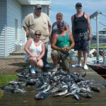 08-13-12-sea-bass.jpg
