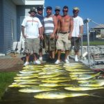 08-04-12-mahi.jpg
