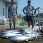 07-19-12-yellowfin.jpg