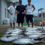 07-15-12-yellowfin.jpg
