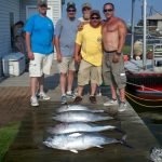 07-01-12-bluefin-and-yellowfin-tuna.jpg