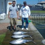 06-27-12-yellowfin.jpg