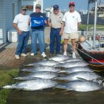 06-18-12-yellowfin.jpg
