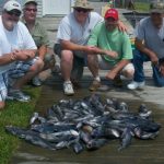 05-28-12-seabass.jpg