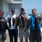 05-07-12-tog.jpg