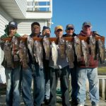 11-04-12-tog.jpg