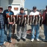04-26-13-tog.jpg