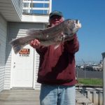04-27-13-11.jpg