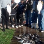 11-02-13-mixed-bag-scaled.jpg