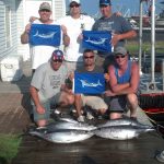 09-12-13-longfin-white-marlin.jpg
