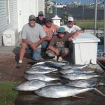 09-10-13-yellowfin.jpg