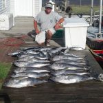09-04-13-yellowfin.jpg