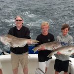 08-19-13-golden-tilefish.jpg