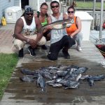06-25-13-sea-bass-cod.jpg