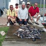 06-24-13-sea-bass-ling.jpg