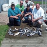 06-23-13-sea-bass-cod-ling.jpg