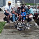 06-20-13-sea-bass.jpg