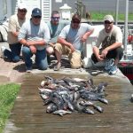 06-21-13-sea-bass-ling.jpg