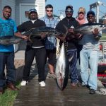 06-15-13-yellowfin.jpg