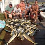 09-03-15-mahi.jpg