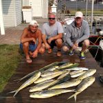 09-02-15-mahi.jpg