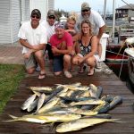 08-27-15-mahi.jpg