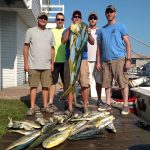 08-24-15-mahi.jpg