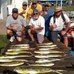 08-17-15-mahi.jpg