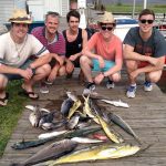 08-15-15-mahi-tilefish-sea-bass.jpg