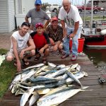 08-06-15-mahi-limit.jpg