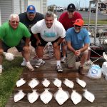 08-02-15-flounder.jpg