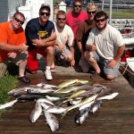 08-01-15-mahi-tilefish.jpg