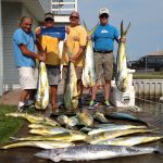 07-29-15-mahi-maril.jpg