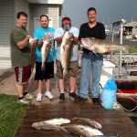 07-20-15-tilefish.jpg