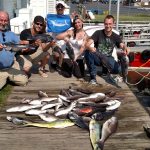 07-19-15-sea-bass-tilefish-mahi.jpg