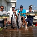 07-01-15-bluefin-mahi.jpg