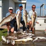06-29-15-tilefish-mahi.jpg