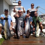 06-23-15-bluefin-mahi.jpg
