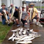 06-16-15-mahi-tilefish.jpg