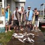 06-13-15-mahi-tilefish.jpg