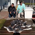 05-24-15-sea-bass-tilefish-triggerfish-2.jpg