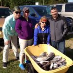 05-24-15-sea-bass-tilefish-triggerfish.jpg